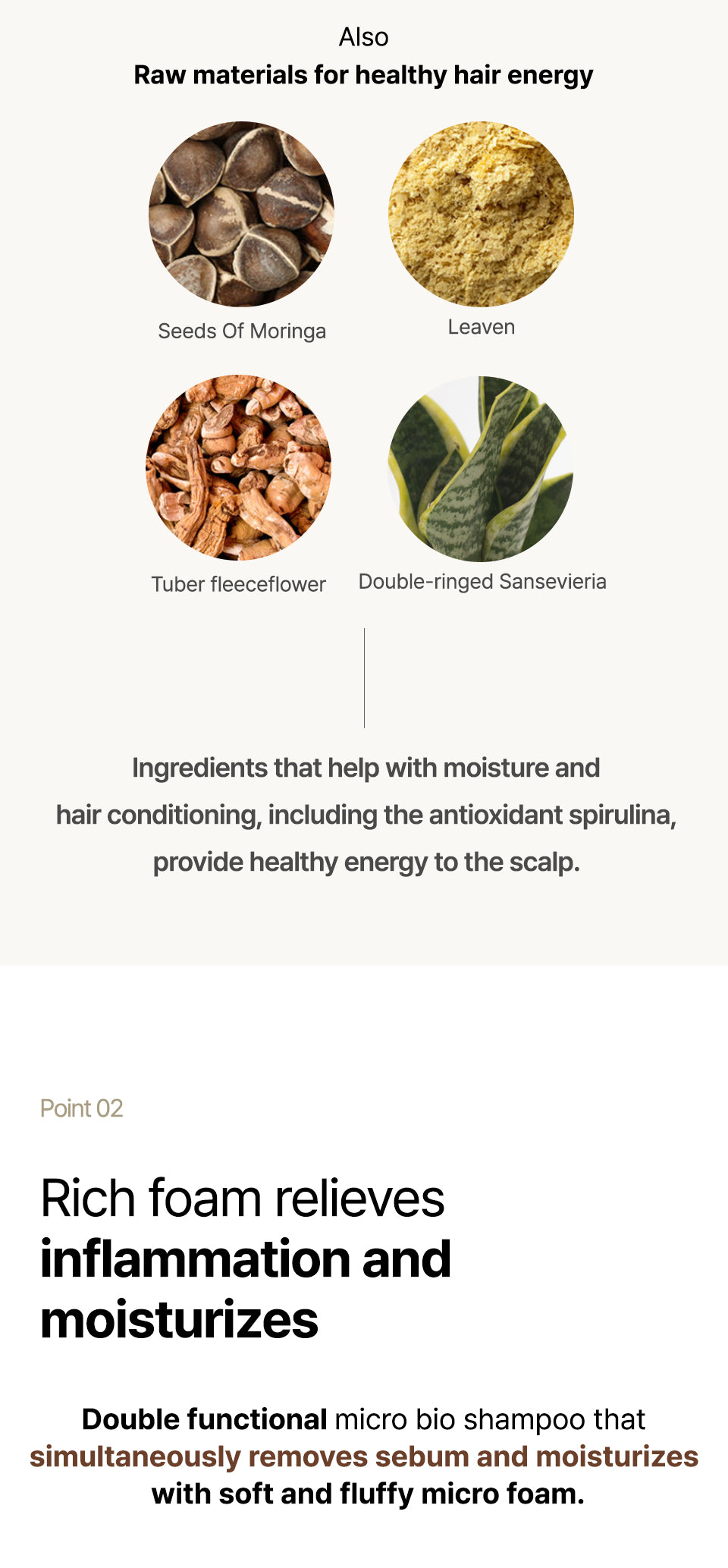 ROOTONIX R+ Micro Bio Shampoo – 500ml Mayson Essentials Pte Ltd