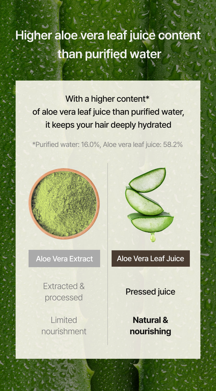 ROOBLISS Core Essence Hair Pack – Extreme Advanced Essential (250g) Mayson Essentials Pte Ltd