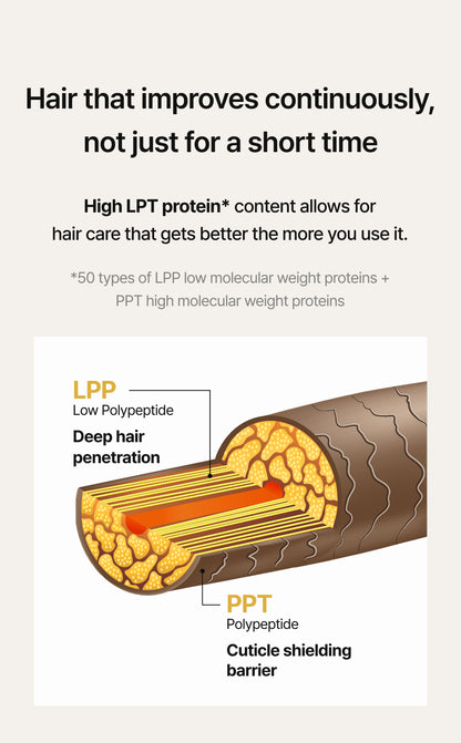 ROOBLISS Core Essence Hair Pack – Extreme Advanced Essential (250g) Mayson Essentials Pte Ltd
