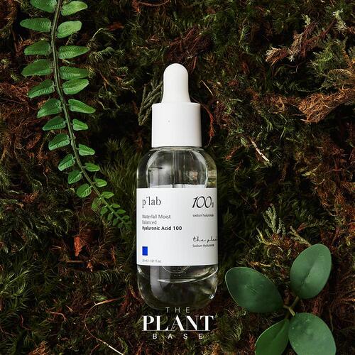 The Plant Base Waterfall Moist Hyaluronic Acid 100 Ampoule 30ml MaysonBeauty